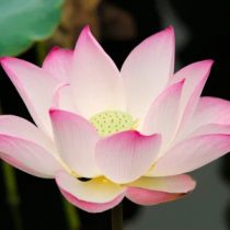 Foto del perfil de Esti