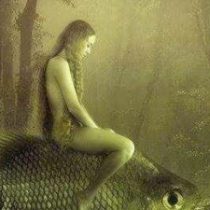 Foto del perfil de Victoria Vico Gavilán